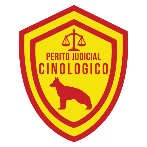 logo-color-500-1